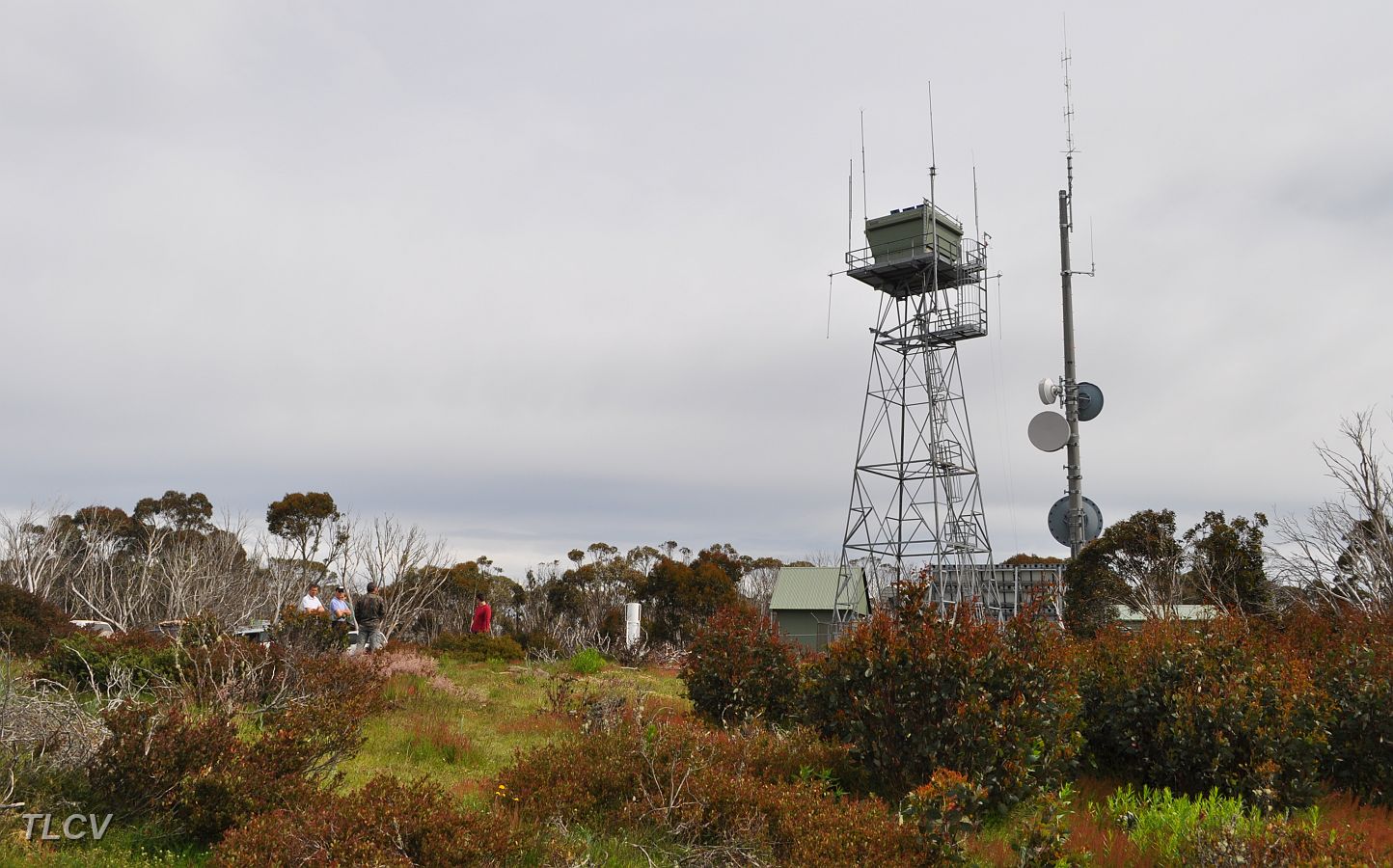 19-The observation tower on Mt Useful.JPG